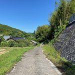 畑からの道路
